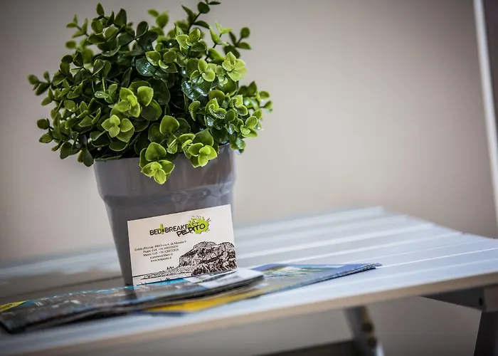 Pepito 住宿加早餐酒店 切法卢