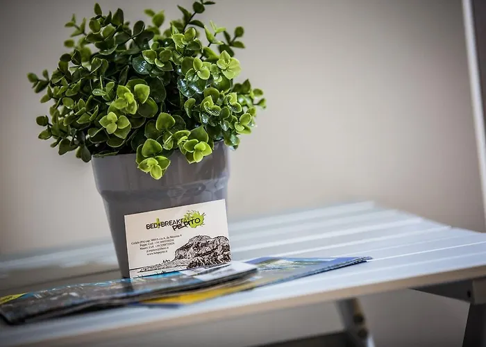 住宿加早餐酒店 Pepito 切法卢